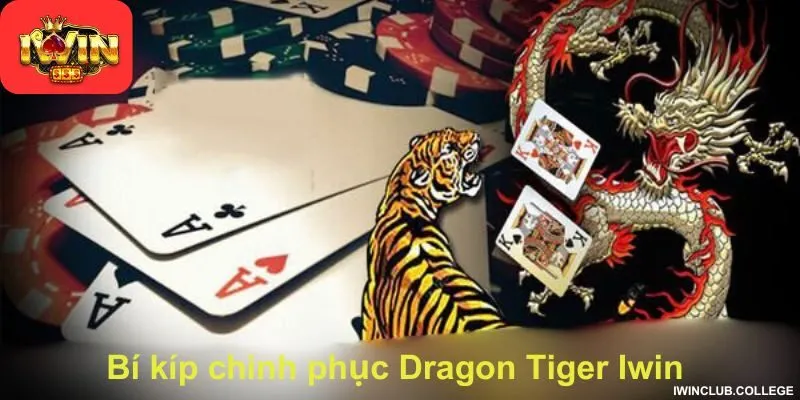 Bí kíp chinh phục Dragon Tiger Iwin