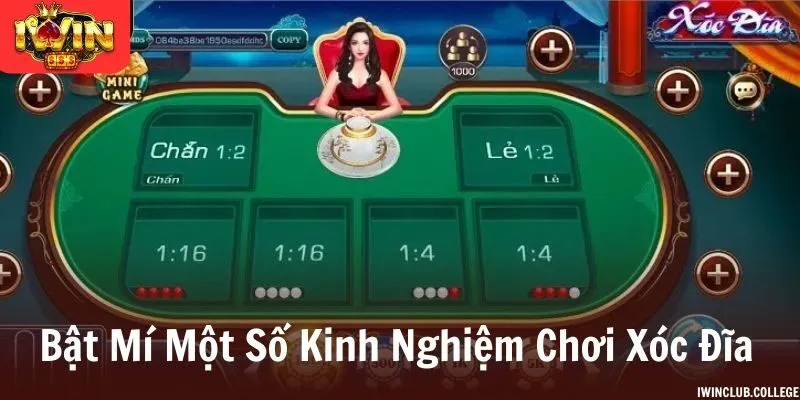 Kinh nghiệm chơi xóc đĩa luôn thắng từ các chuyên gia