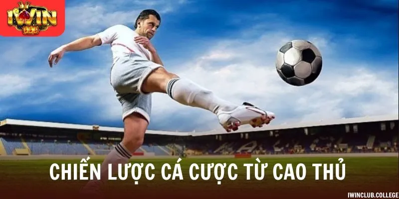 Chiến lược cá cược từ cao thủ giúp ăn tiền