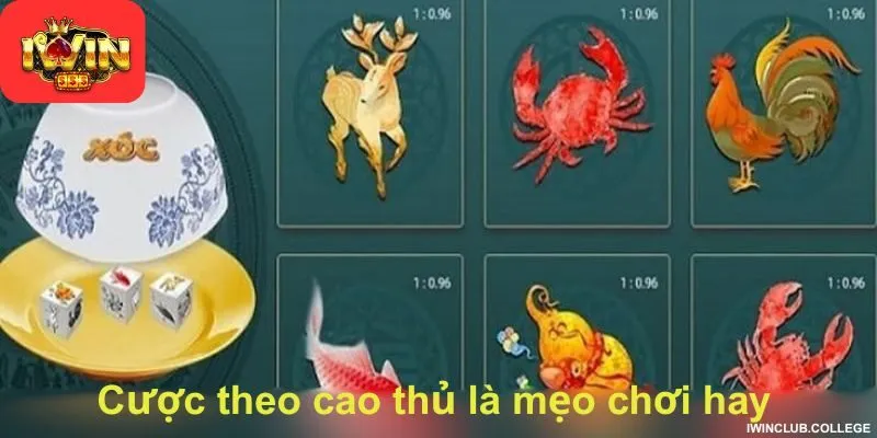 Cược theo cao thủ là mẹo chơi hay