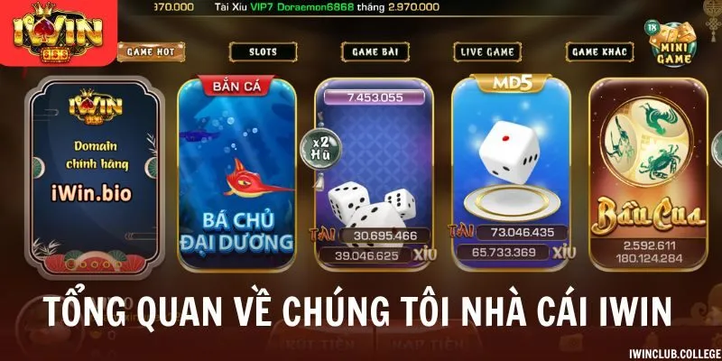 Tổng quan về chúng tôi nhà cái iWIN
